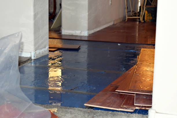 Professional Basement Water Removal technician working in Russell, PA